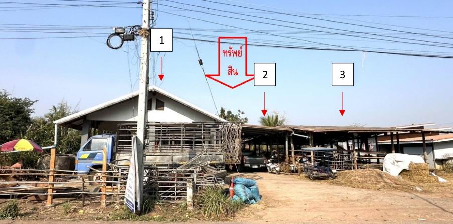 รูปที่ดินพร้อมสิ่งปลูกสร้าง ด่านขุนทด ด่านขุนทด นครราชสีมา