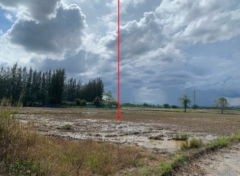 รูปที่ดินว่างเปล่า ต้นธง เมืองลำพูน ลำพูน
