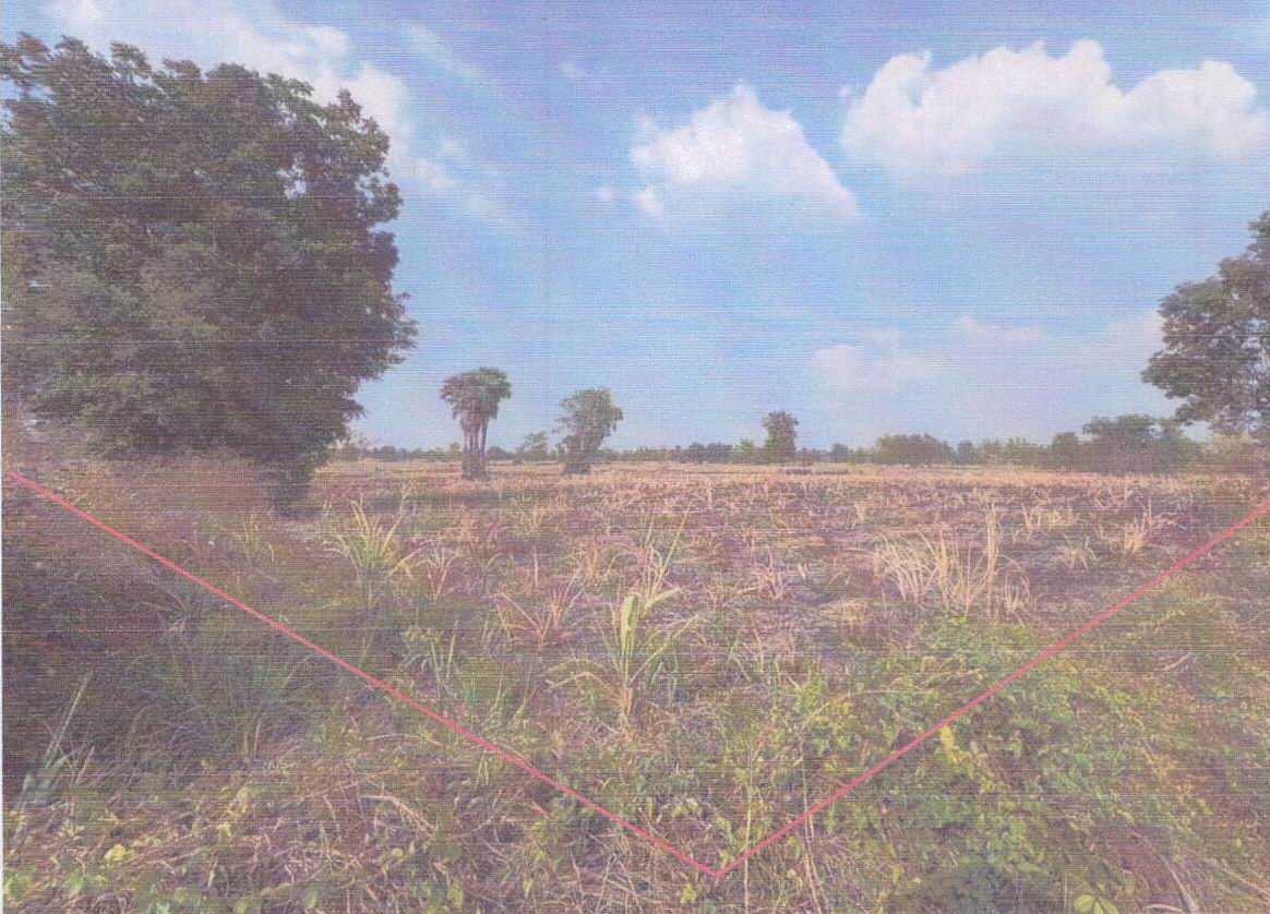 รูปที่ดินว่างเปล่า หนองฉิม เนินสง่า ชัยภูมิ
