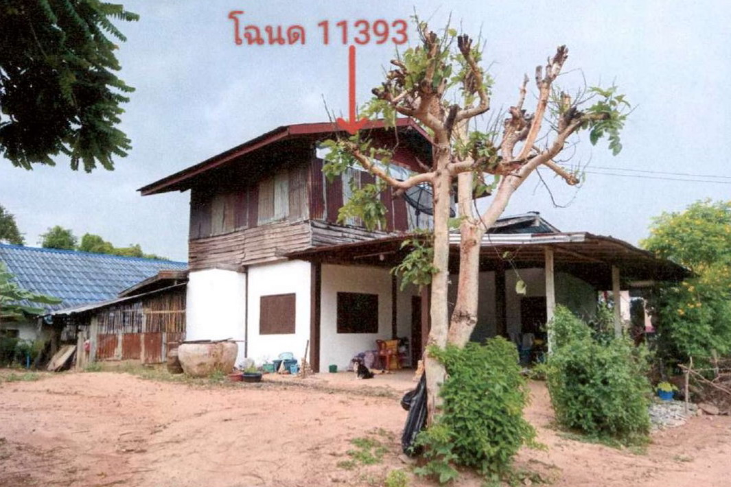 รูปที่ดินพร้อมสิ่งปลูกสร้าง ไทยสามัคคี หนองหงส์ บุรีรัมย์