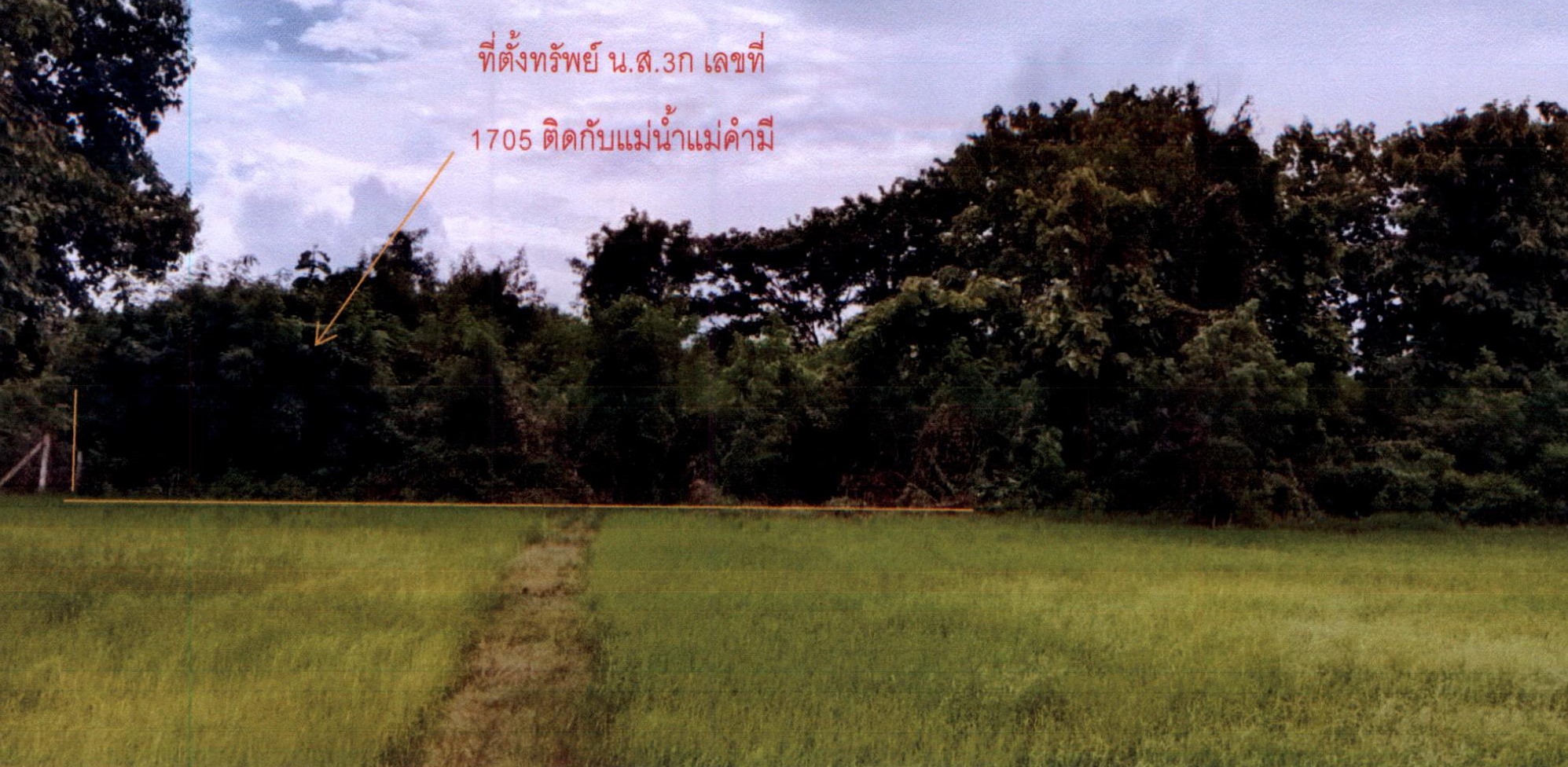 รูปที่ดินว่างเปล่า แม่คำมี เมืองแพร่ แพร่