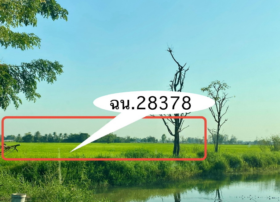 รูปที่ดินว่างเปล่า เกาะตาเลี้ยง ศรีสำโรง สุโขทัย