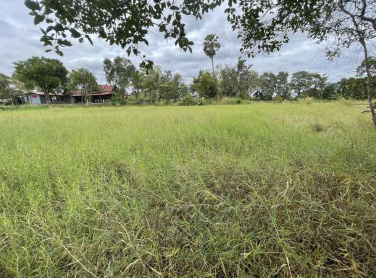 รูปที่ดินว่างเปล่า หัวเมือง มหาชนะชัย ยโสธร