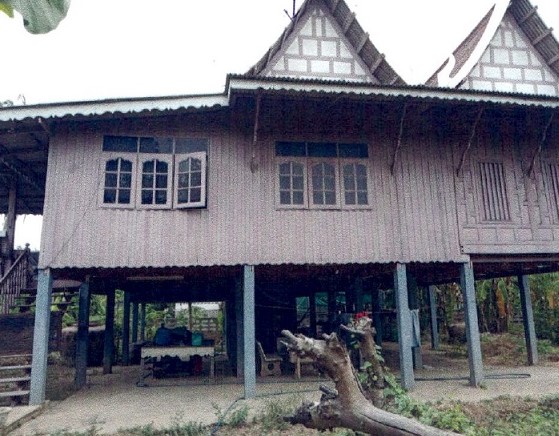 รูปที่ดินพร้อมสิ่งปลูกสร้าง จำปาหล่อ เมืองอ่างทอง อ่างทอง