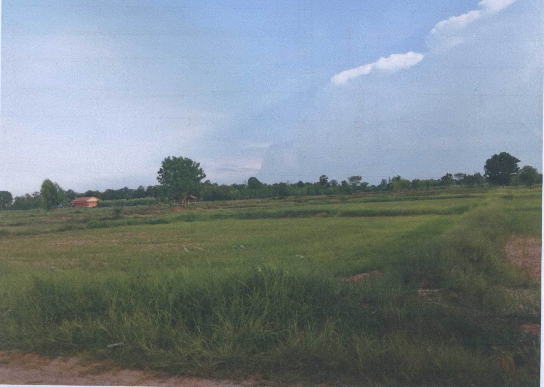 รูปที่ดินว่างเปล่า หนองสังข์ แก้งคร้อ ชัยภูมิ