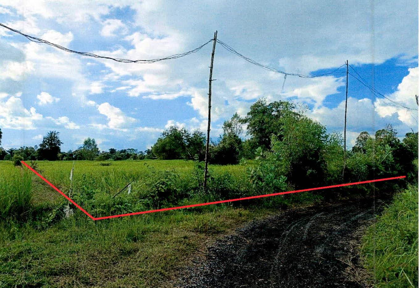 รูปที่ดินว่างเปล่า ตองปิด น้ำเกลี้ยง ศรีสะเกษ