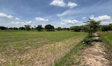 รูปที่ดินว่างเปล่า ยางโยภาพ ม่วงสามสิบ อุบลราชธานี