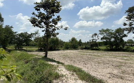 รูปที่ดินว่างเปล่า ยางโยภาพ ม่วงสามสิบ อุบลราชธานี