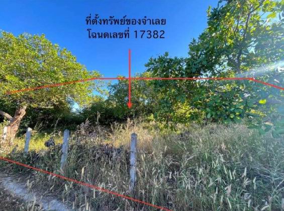 รูปที่ดินว่างเปล่า บุ่งมะแลง สว่างวีระวงศ์ อุบลราชธานี