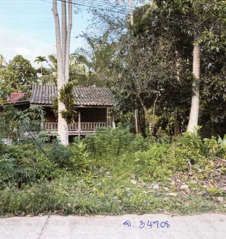 รูปที่ดินพร้อมสิ่งปลูกสร้าง บ้านควน หลังสวน ชุมพร