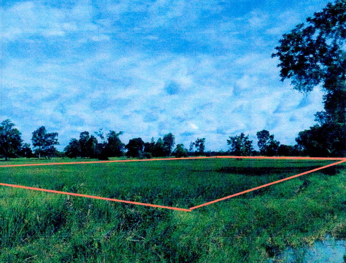 รูปที่ดินว่างเปล่า พรหมสวัสดิ์ พยุห์ (เมืองศรีสะเกษ) ศรีสะเกษ