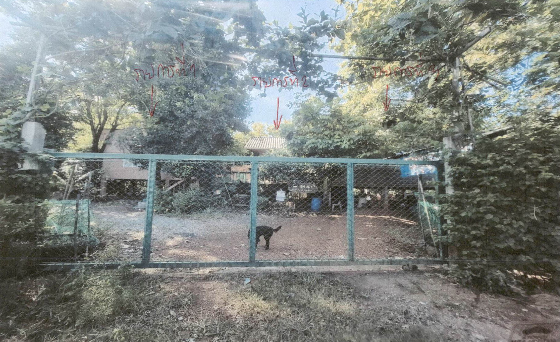 รูปที่ดินพร้อมสิ่งปลูกสร้าง เพชรละคร หนองไผ่ เพชรบูรณ์