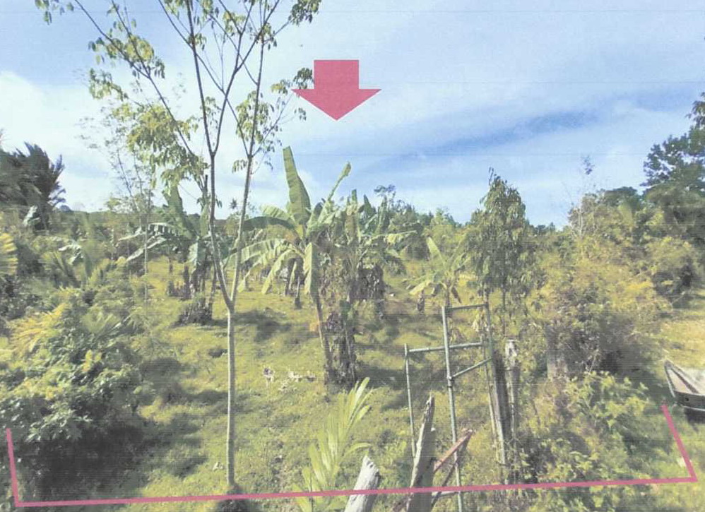 รูปที่ดินว่างเปล่า รือเสาะ รือเสาะ นราธิวาส