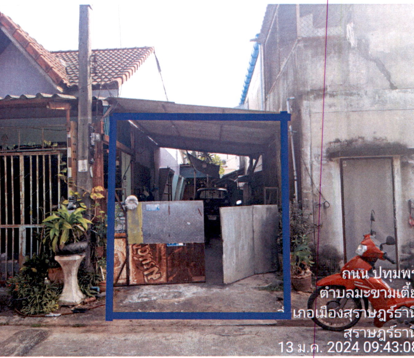 รูปที่ดินว่างเปล่า มะขามเตี้ย เมืองสุราษฎร์ธานี สุราษฎร์ธานี