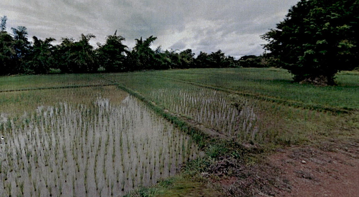 รูปที่ดินว่างเปล่า ใหม่พัฒนา เกาะคา ลำปาง