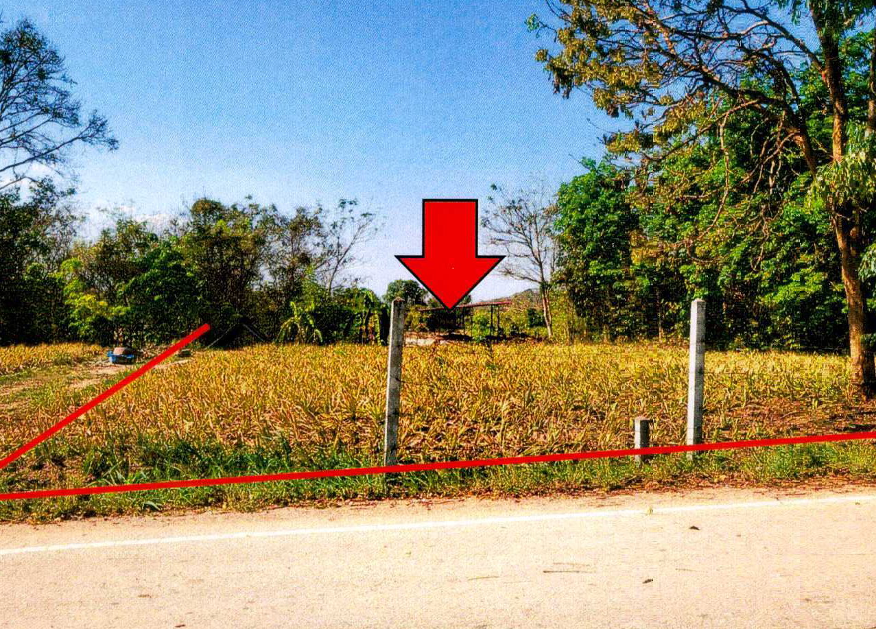 รูปที่ดินว่างเปล่า หนองปลาปาก ศรีเชียงใหม่ หนองคาย