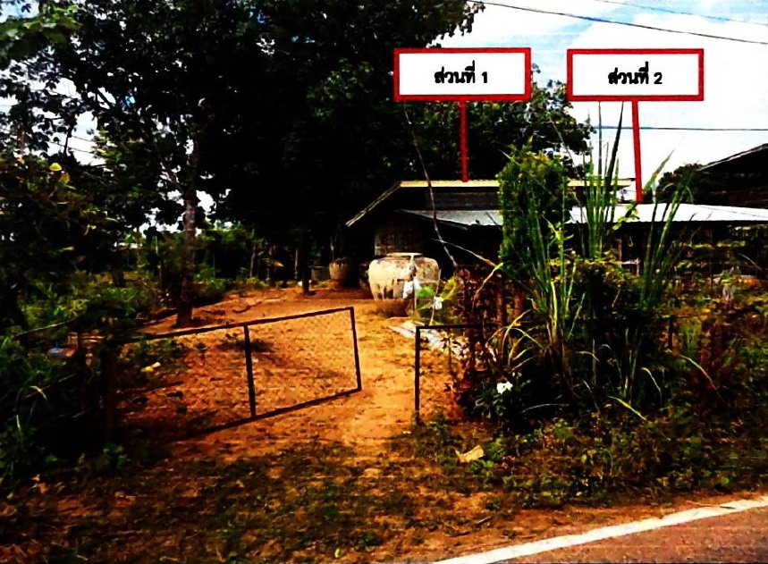รูปที่ดินพร้อมสิ่งปลูกสร้าง จันทบเพชร บ้านกรวด บุรีรัมย์