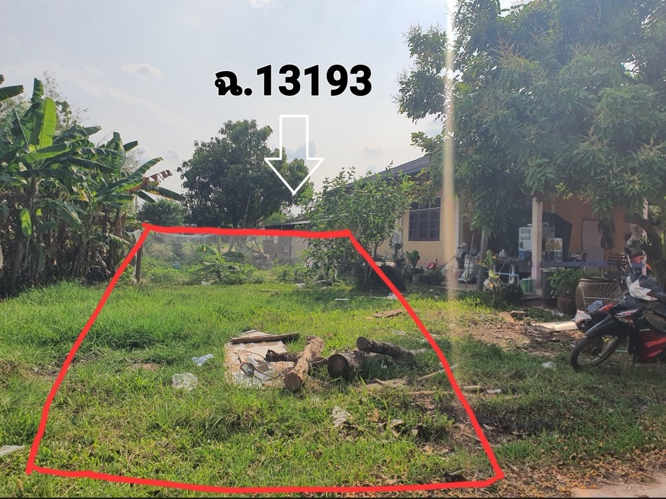 รูปที่ดินว่างเปล่า ส่องดาว ส่องดาว สกลนคร