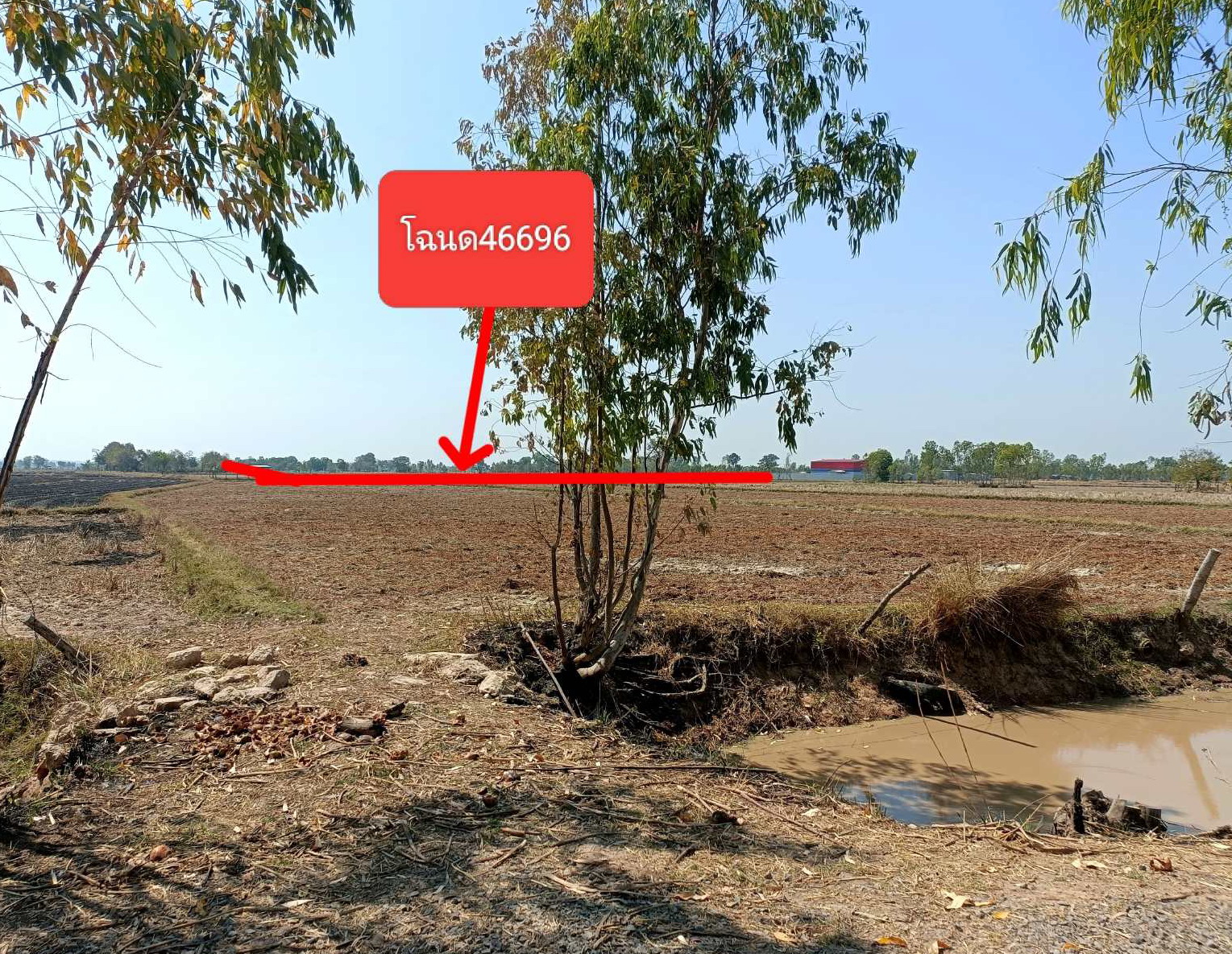 รูปที่ดินว่างเปล่า กุดขาคีม รัตนบุรี สุรินทร์