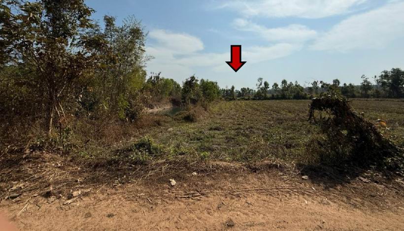 รูปที่ดินว่างเปล่า โคกปี่ฆ้อง เมืองสระแก้ว สระแก้ว
