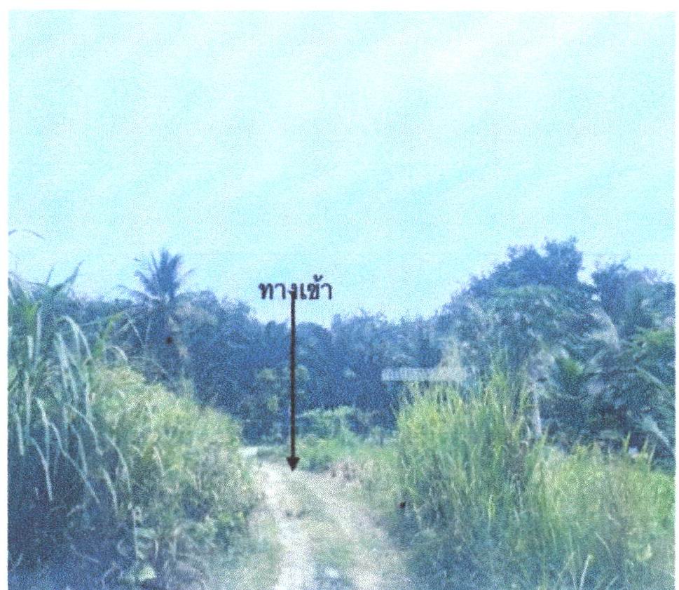 รูปที่ดินว่างเปล่า ไม้ขาว ถลาง ภูเก็ต