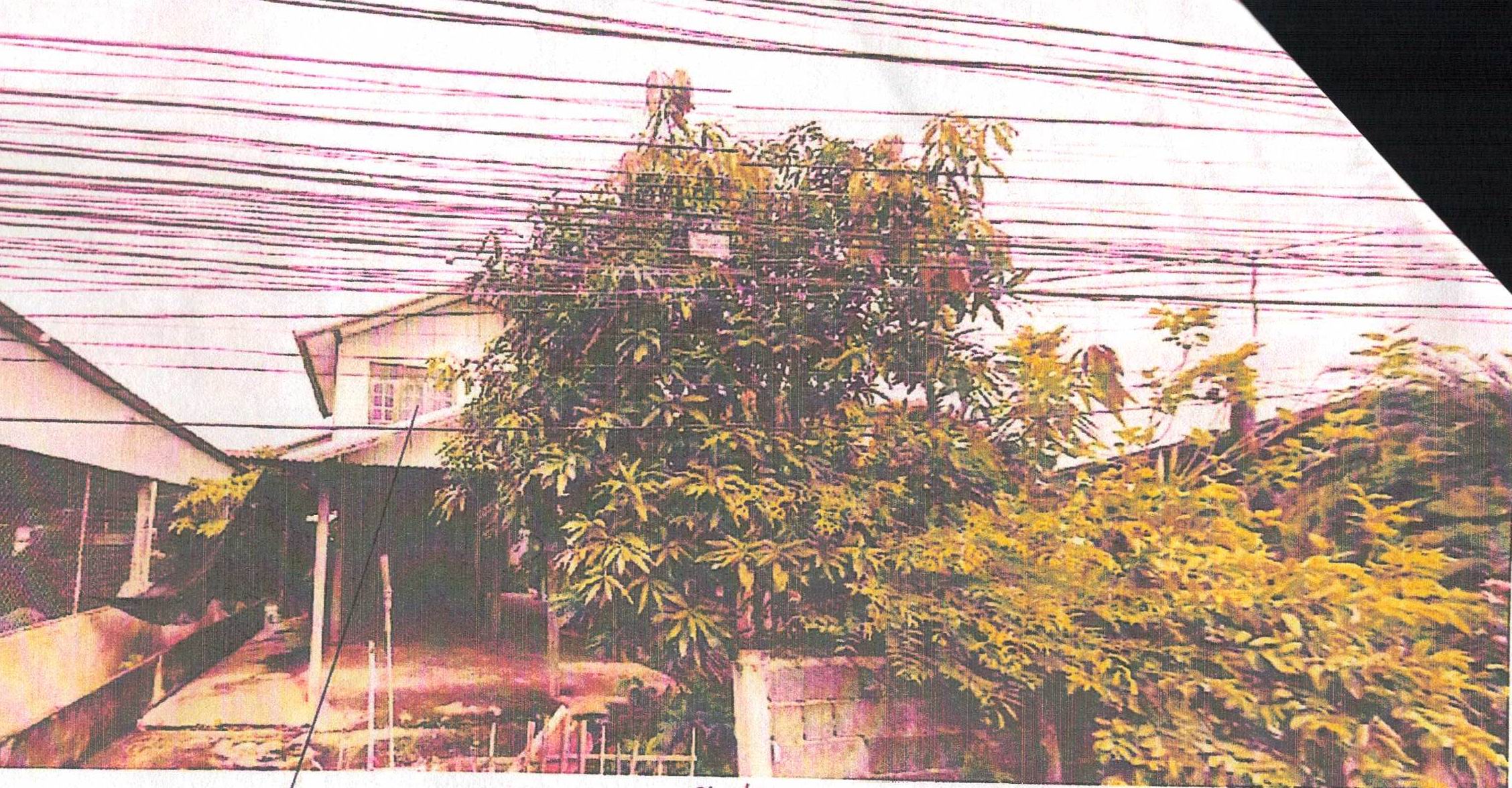 รูปที่ดินพร้อมสิ่งปลูกสร้าง ชีลอง เมืองชัยภูมิ ชัยภูมิ