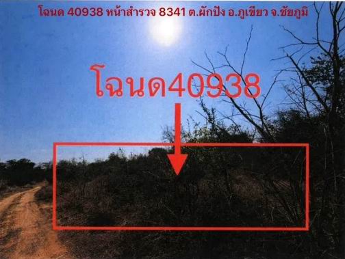 รูปที่ดินว่างเปล่า ผักปัง ภูเขียว ชัยภูมิ