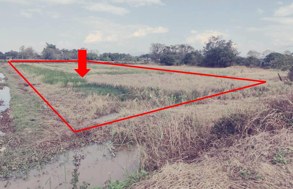 รูปที่ดินว่างเปล่า แม่สาย แม่สาย เชียงราย