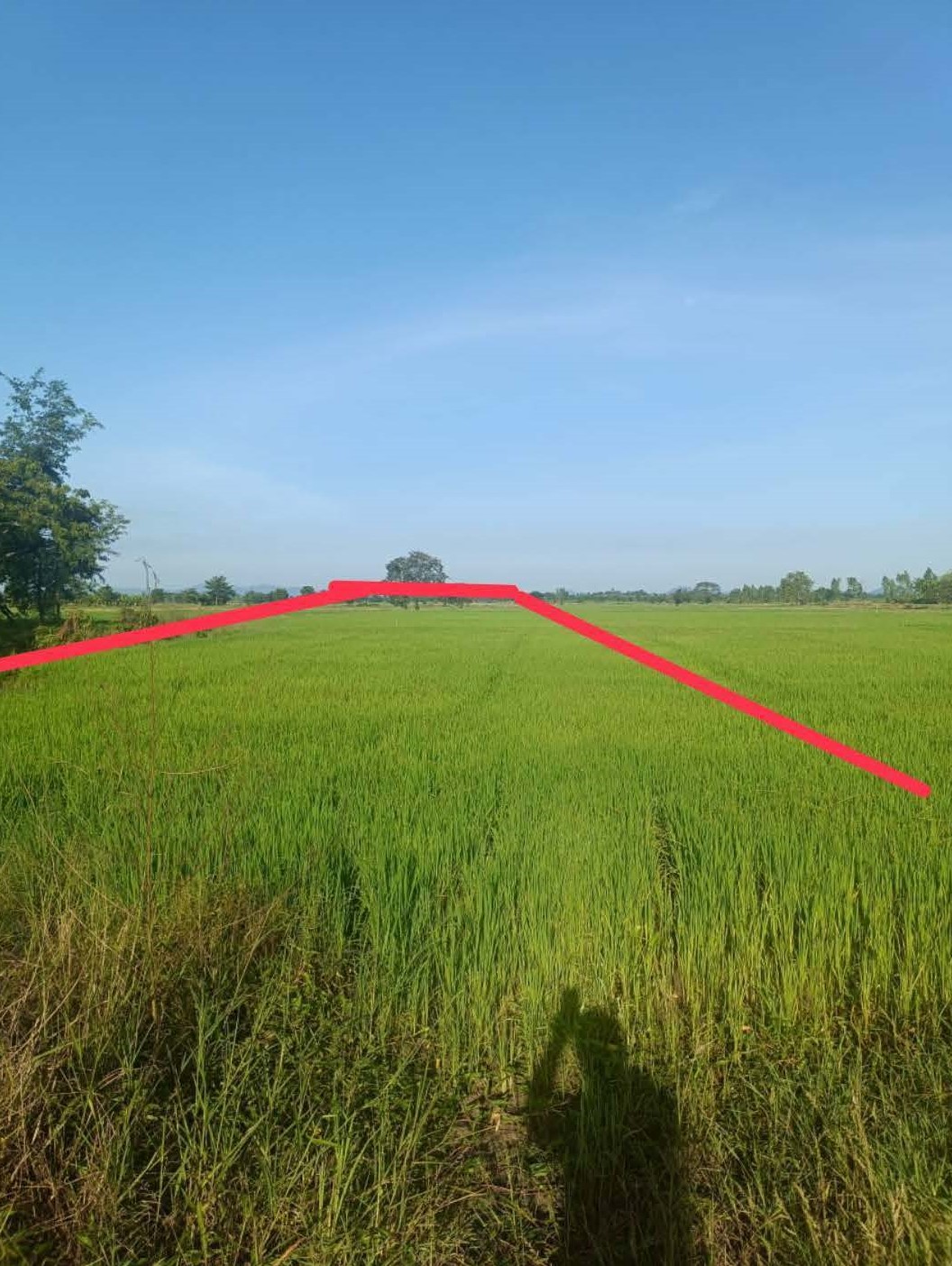 รูปที่ดินว่างเปล่า กองทูล หนองไผ่ เพชรบูรณ์