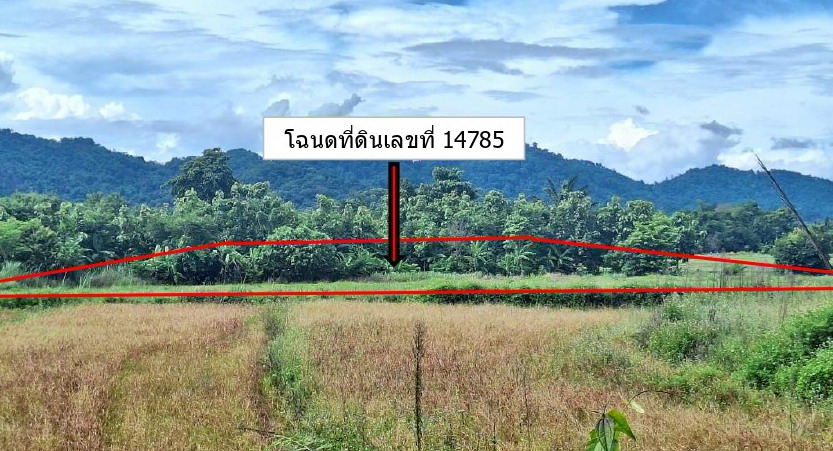 รูปที่ดินว่างเปล่า แม่เงิน เชียงแสน เชียงราย