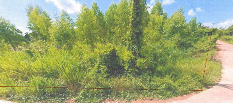 รูปที่ดินว่างเปล่า โค้งไผ่ ขาณุวรลักษบุรี กำแพงเพชร