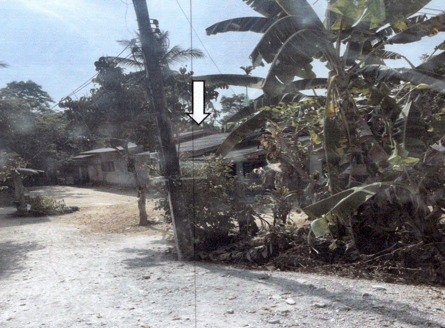 รูปที่ดินพร้อมสิ่งปลูกสร้าง ตะโหมด ตะโหมด พัทลุง