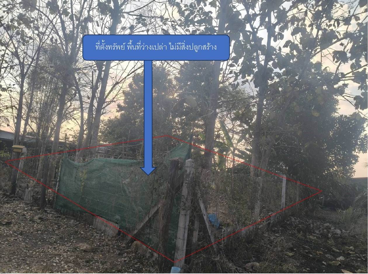 รูปที่ดินว่างเปล่า บ้านใหม่หนองไทร อรัญประเทศ สระแก้ว