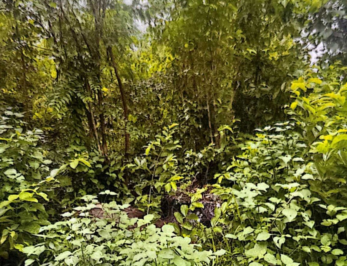 รูปที่ดินว่างเปล่า ลำภู เมืองหนองบัวลำภู หนองบัวลำภู