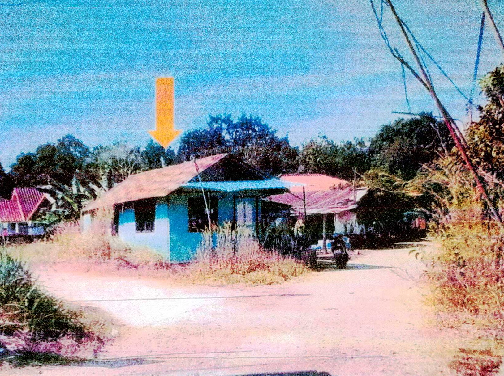 รูปที่ดินพร้อมสิ่งปลูกสร้าง วิศิษฐ์ เมืองบึงกาฬ บึงกาฬ