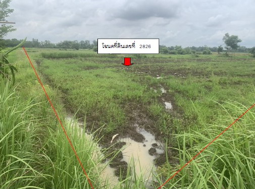 รูปที่ดินว่างเปล่า สำนักขุนเณร ดงเจริญ พิจิตร