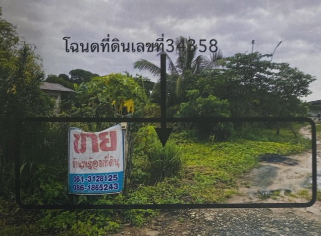 รูปที่ดินว่างเปล่า แม่สูน ฝาง เชียงใหม่
