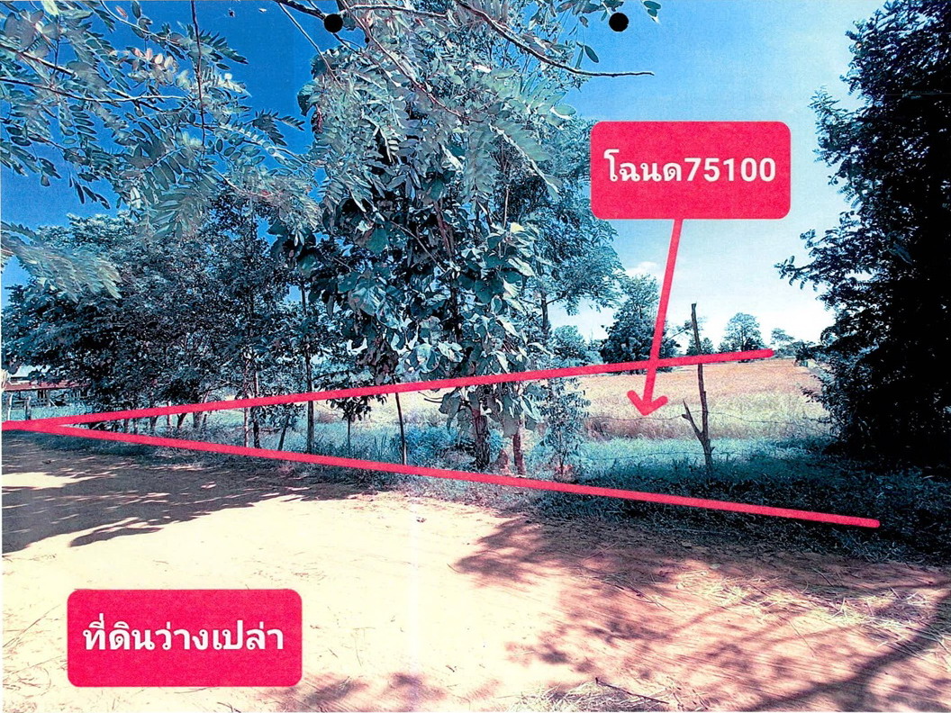 รูปที่ดินว่างเปล่า ตาเบา ปราสาท สุรินทร์