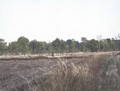 รูปที่ดินว่างเปล่า กุดเรือคำ วานรนิวาส สกลนคร