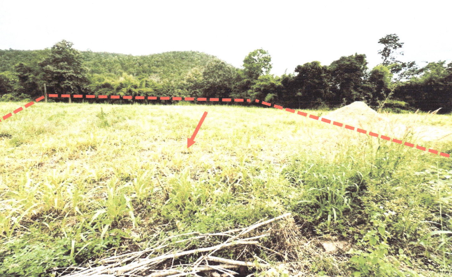 รูปที่ดินว่างเปล่า บ้านฝาย น้ำปาด อุตรดิตถ์