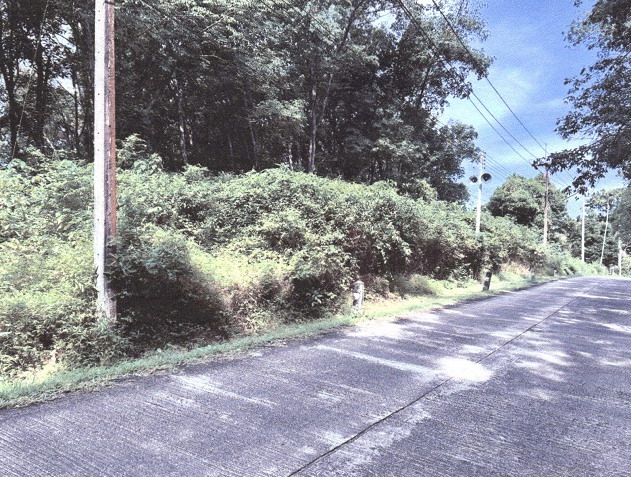 รูปที่ดินว่างเปล่า เกาะยาวน้อย เกาะยาว พังงา