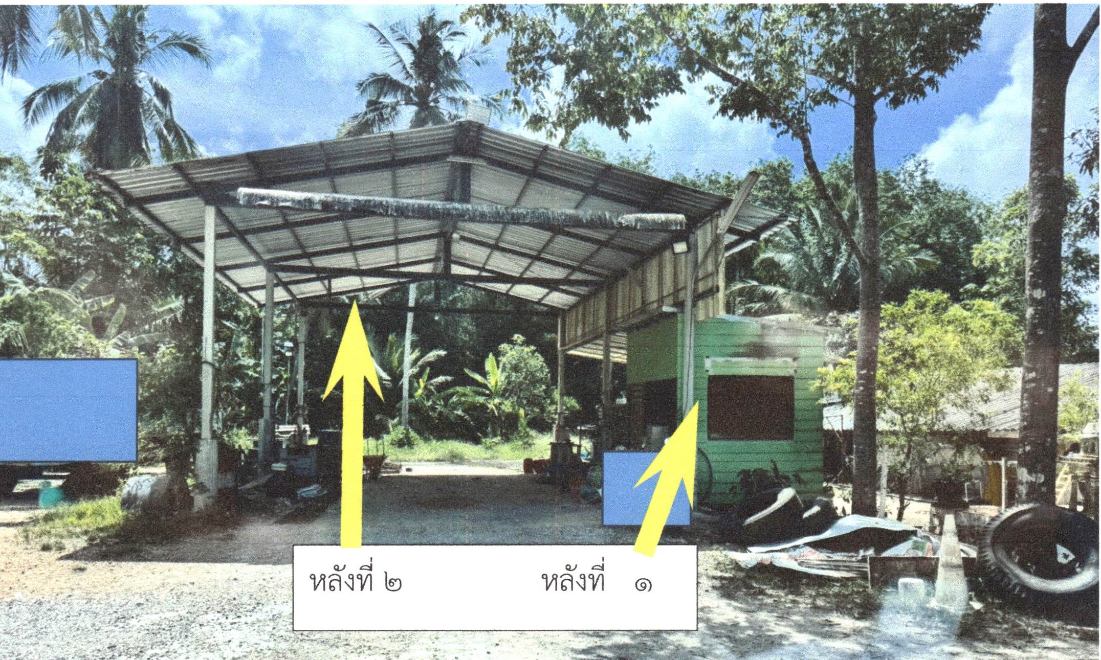 รูปที่ดินพร้อมสิ่งปลูกสร้าง ท่าแซะ ท่าแซะ ชุมพร