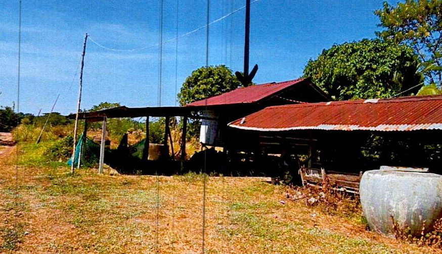รูปที่ดินพร้อมสิ่งปลูกสร้าง โพนเมือง เหล่าเสือโก้ก อุบลราชธานี
