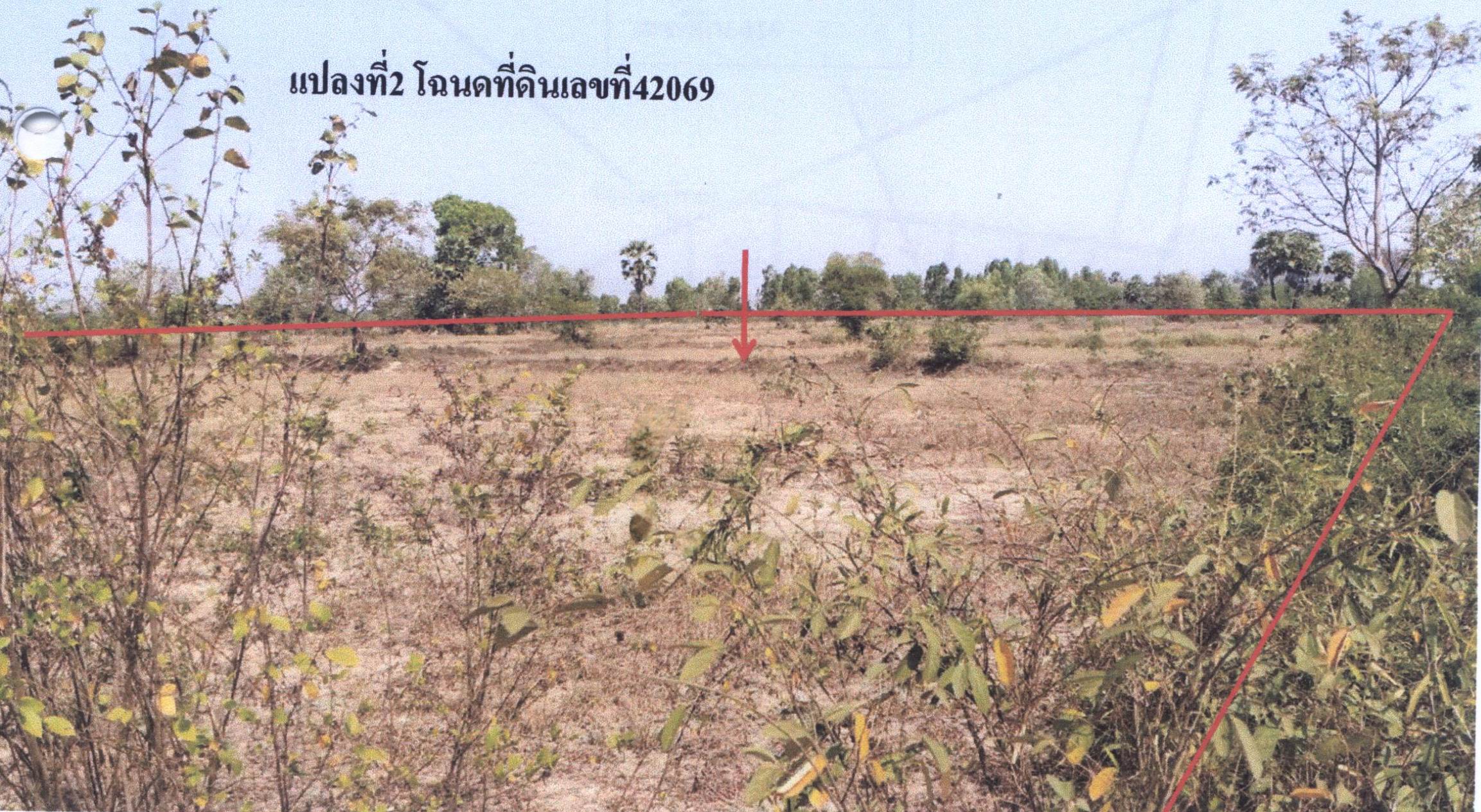 รูปที่ดินว่างเปล่า นาคำใหญ่ เขื่องใน อุบลราชธานี