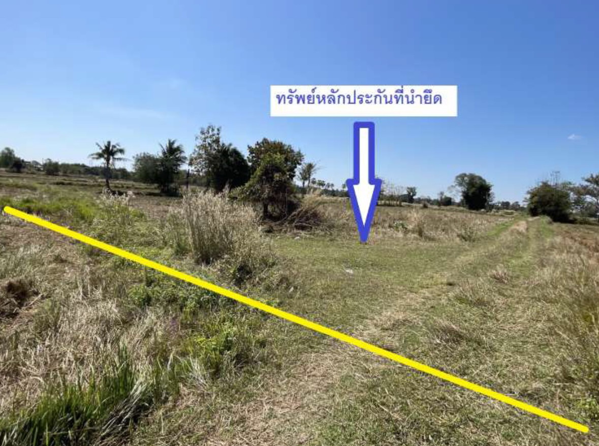 รูปที่ดินว่างเปล่า หินโคน ลำปลายมาศ บุรีรัมย์