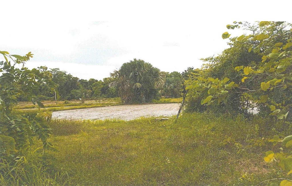 รูปที่ดินว่างเปล่า โป่งแดง เมืองตาก ตาก