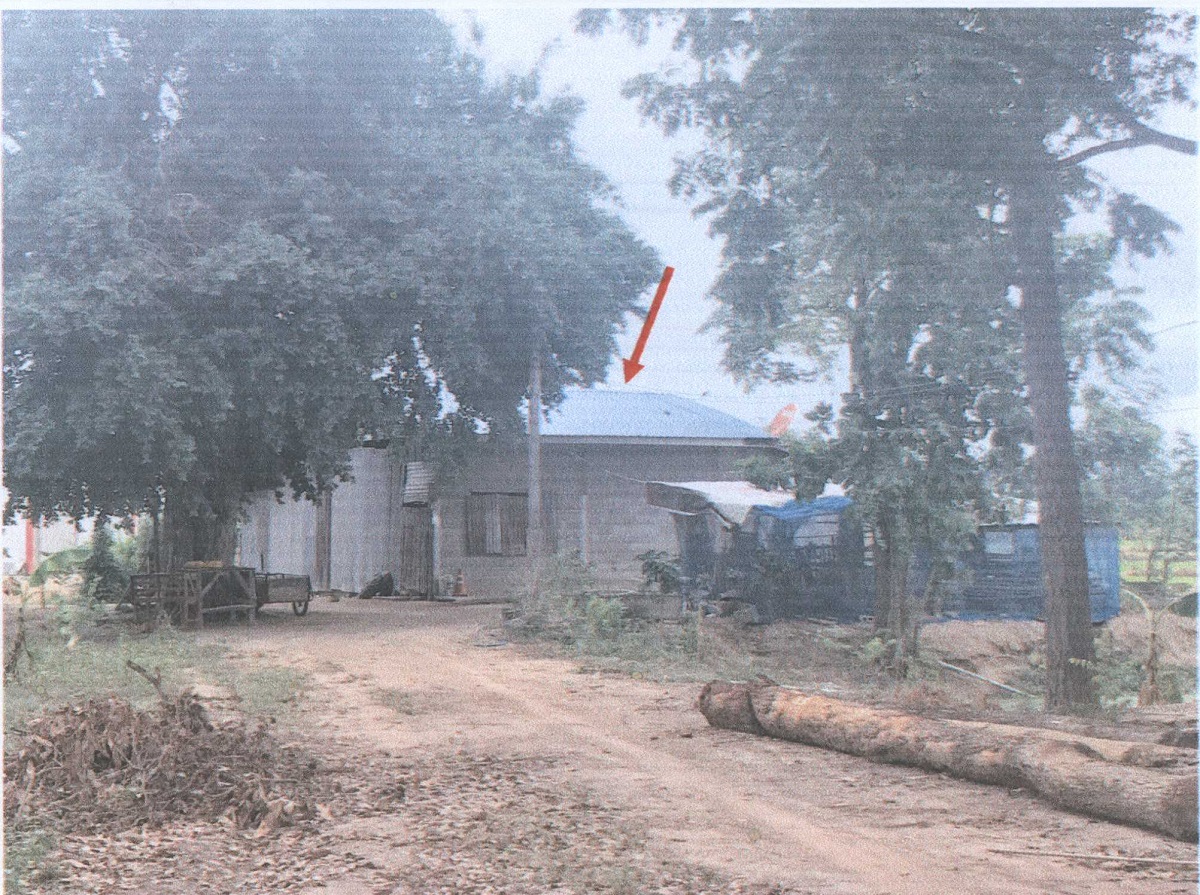รูปที่ดินพร้อมสิ่งปลูกสร้าง เนินปอ สามง่าม พิจิตร