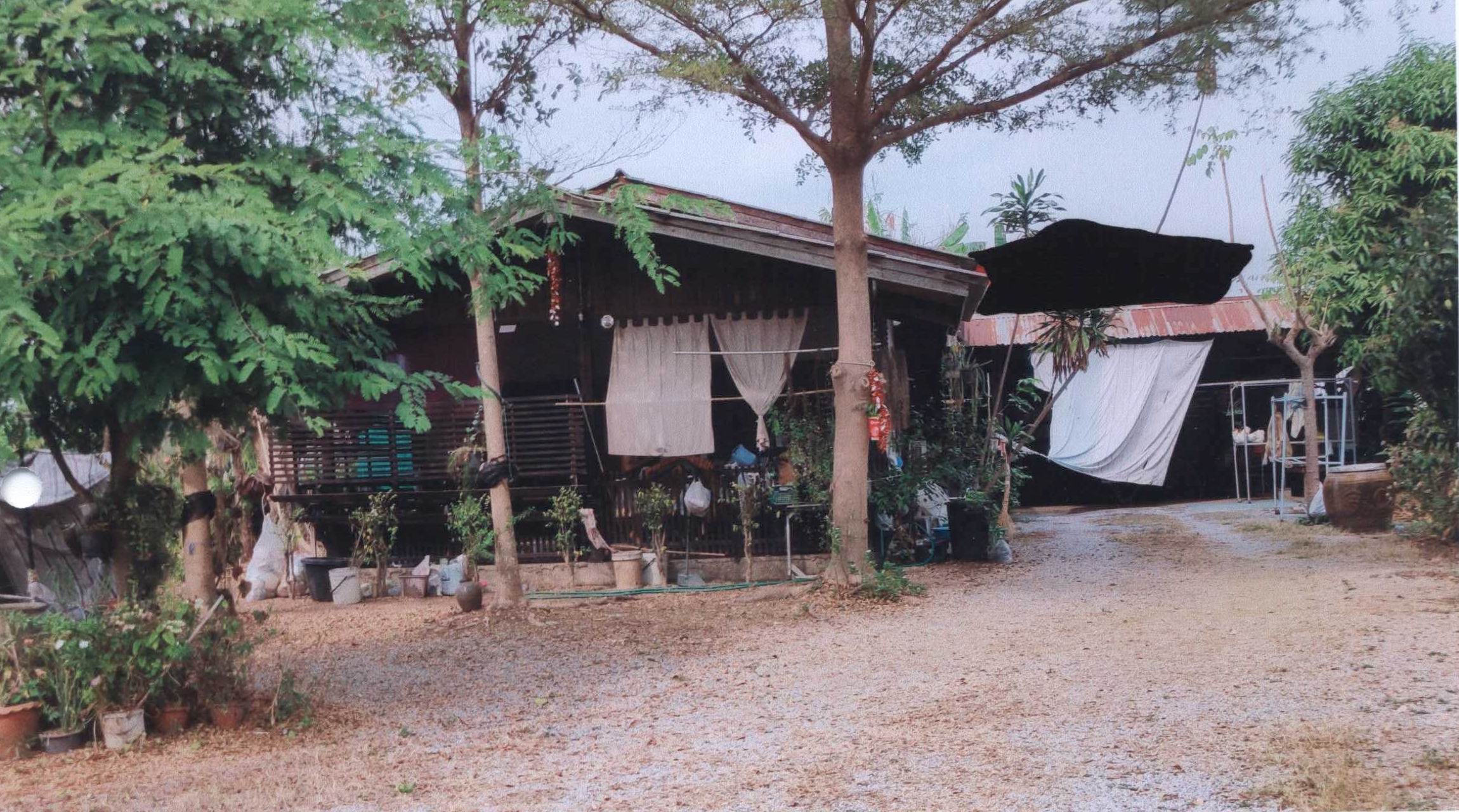 รูปที่ดินพร้อมสิ่งปลูกสร้าง วังแดง ตรอน อุตรดิตถ์