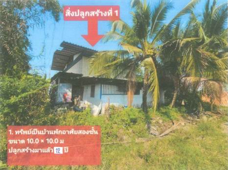 รูปที่ดินพร้อมสิ่งปลูกสร้าง คลองตัน บ้านแพ้ว สมุทรสาคร