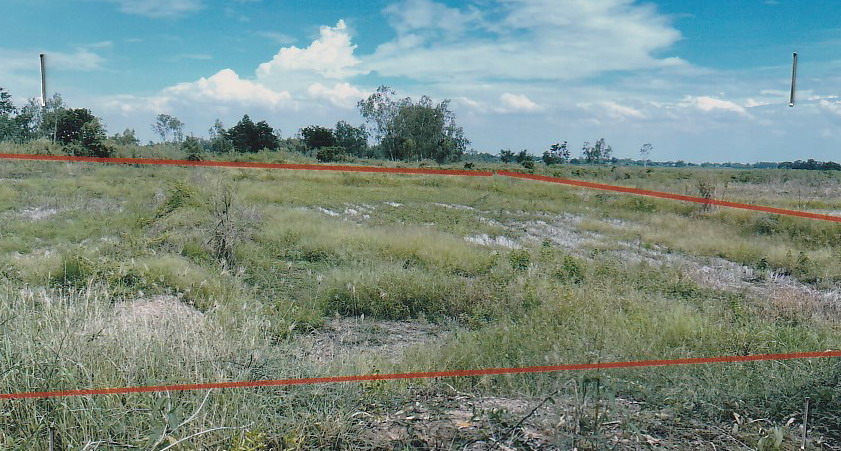 รูปที่ดินว่างเปล่า ท่าฉนวน กงไกรลาศ สุโขทัย